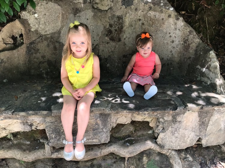 db612bff-3ec4-4572-995c-5a4c8fc2019b